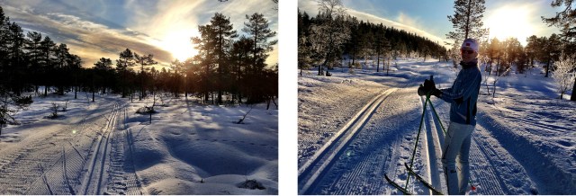 Nydelig i Drammensmarka