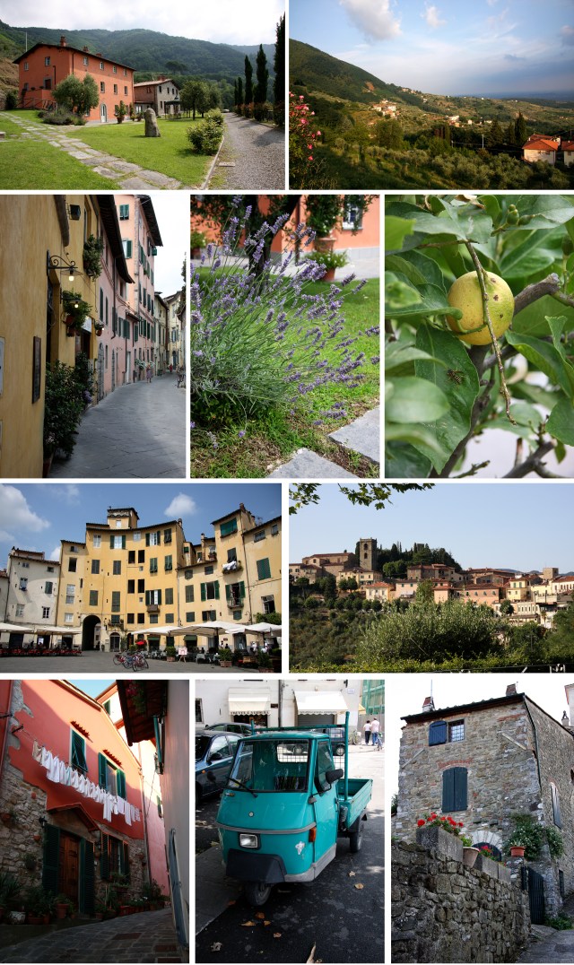 Bilder fra Lucca-området