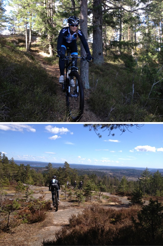 Stitur i Kjekstadmarka