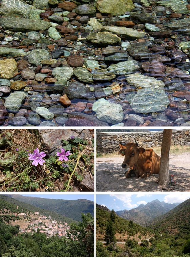 Tur til Asco-dalen 2