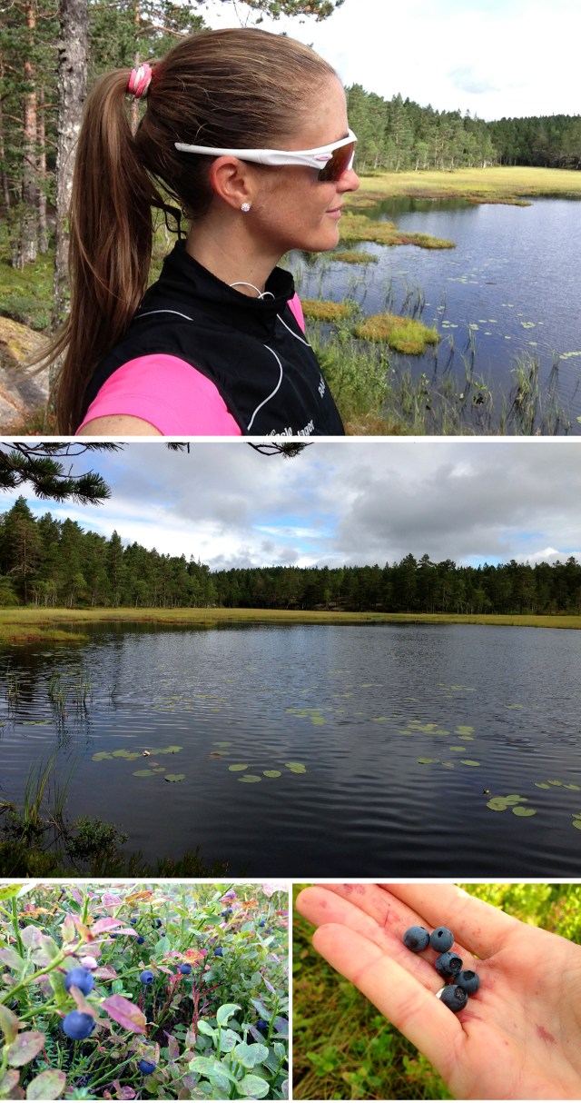 Løpetur og blåbærplukking