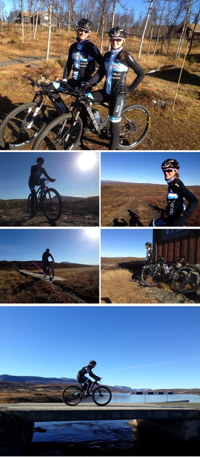 Sykkeltur på Vaset 1