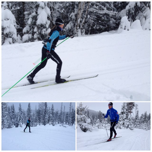 Rolig skitur i Finnemarka 2