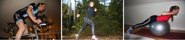 Treningsåret 2013 2