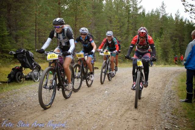 Birkebeinerrittet 2014