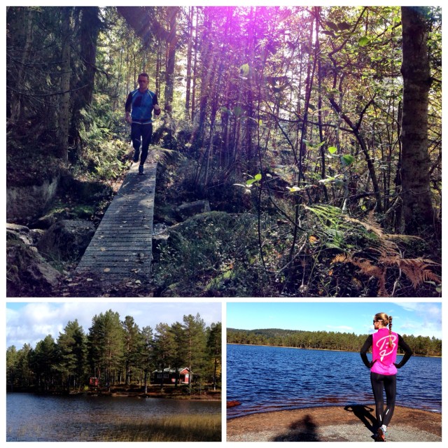 Løpetur i Drammensmarka 3