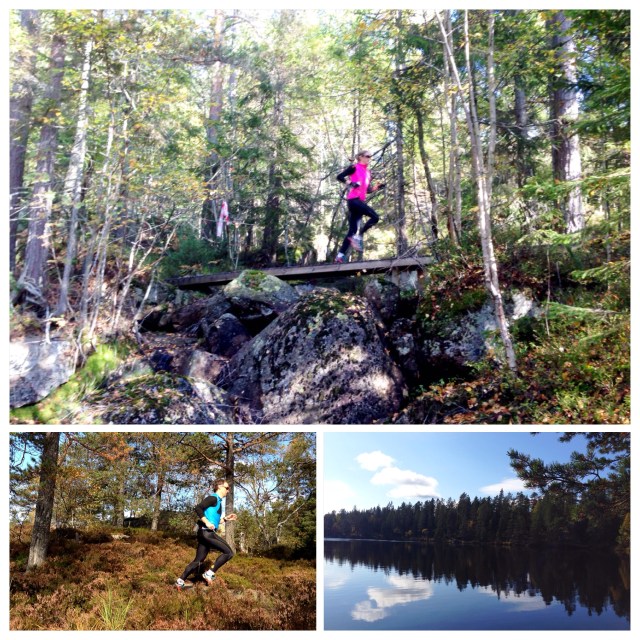 Løpetur i Drammensmarka 5