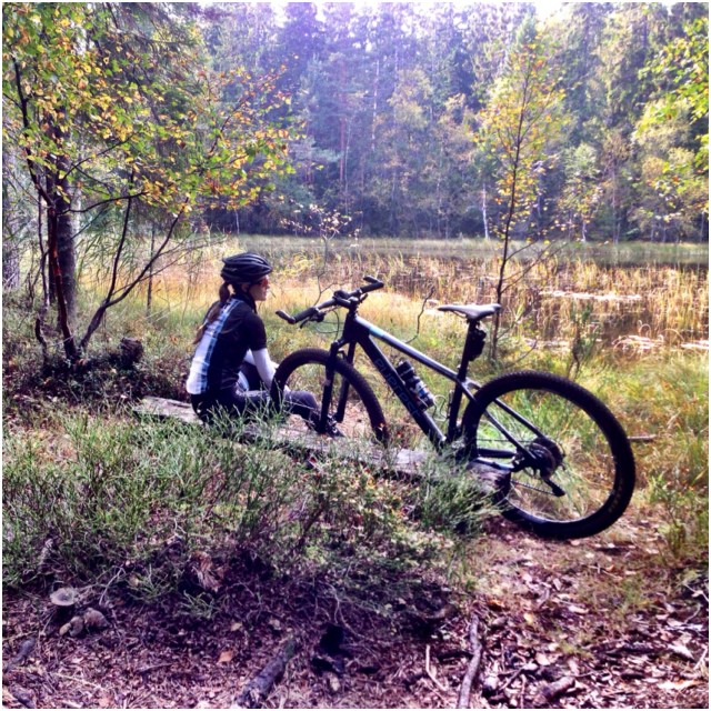 Stitur terrengsykkel 1