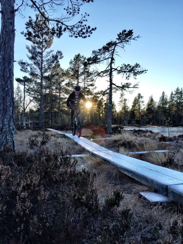 Vintersykling piggdekk Oslo Sportslager 6