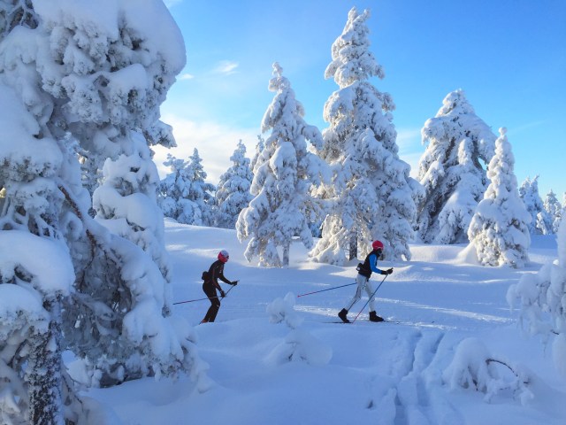 Skitur i Drammensmarka 4