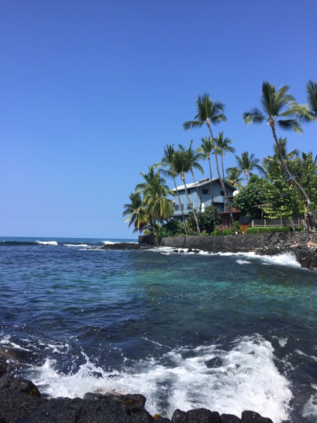 vakre-omgivelser-a-trene-i